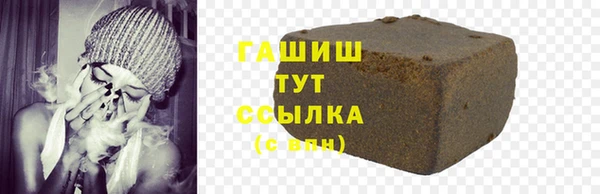 индика Богданович