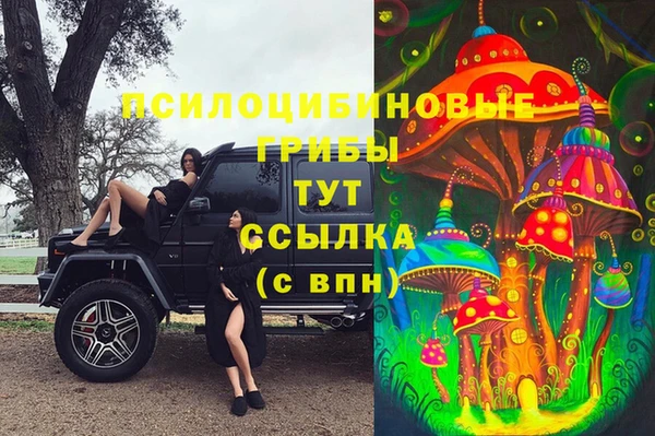 индика Богданович
