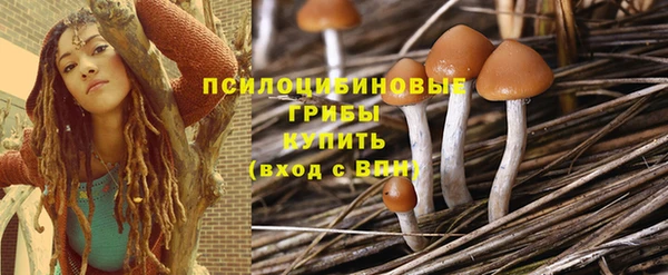 винт Арсеньев