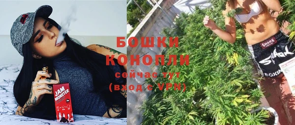винт Арсеньев