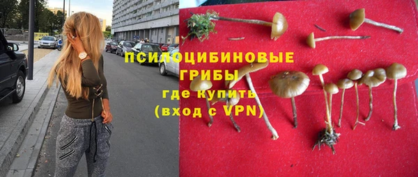 мдма Богородск