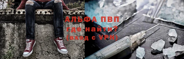 индика Богданович